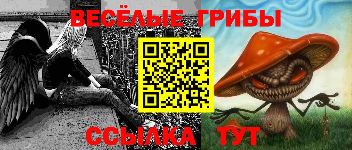 Черногорск  Галлюциногенные грибы ЛСД  Вход с VPN 