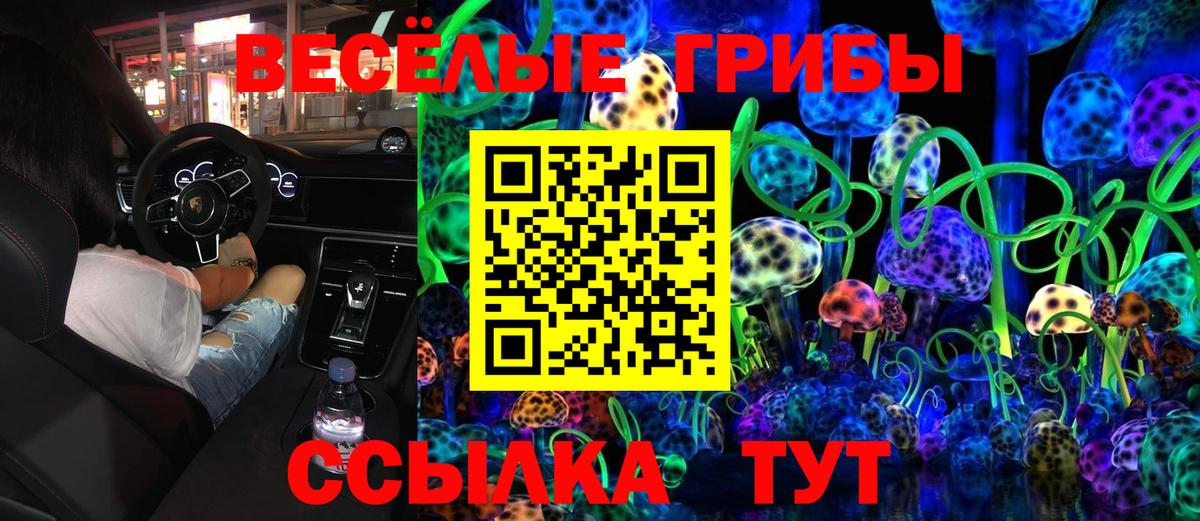 Галлюциногенные грибы Magic Shrooms Черногорск