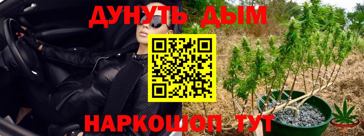 Конопля Ganja Черногорск